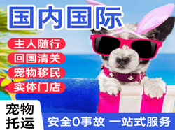 地窝堡机场空运国际宠物托运 【国